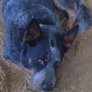 Meet your Posher, Lois